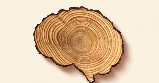 The book cover features a tree slice, connecting readers to nature.