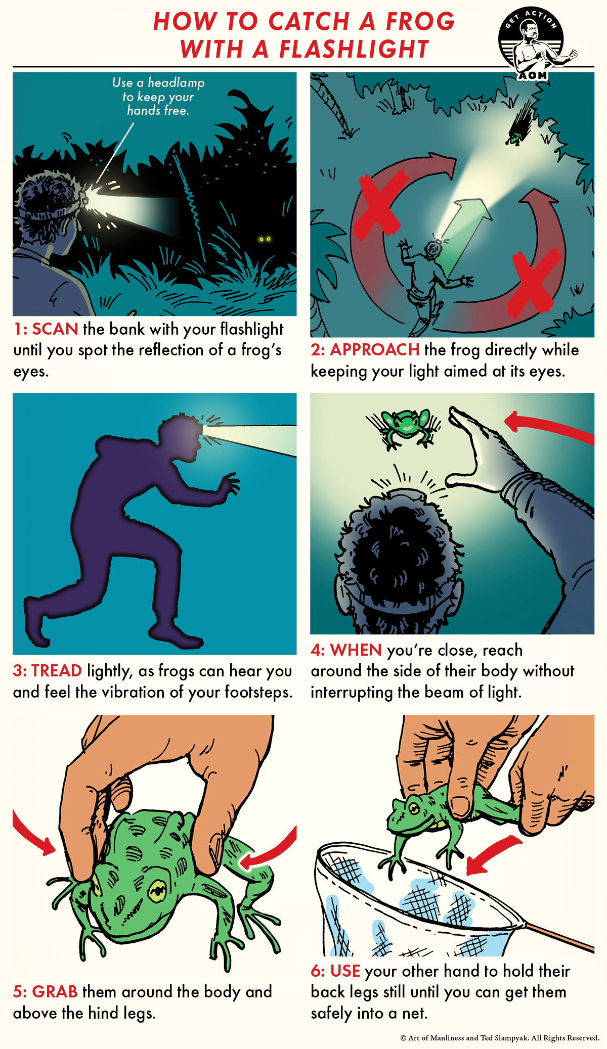 Comic guide how to catch a frog with flashlight.