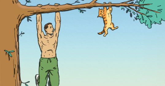 A cartoon of a man showcasing his strength while hanging from a tree with a cat.