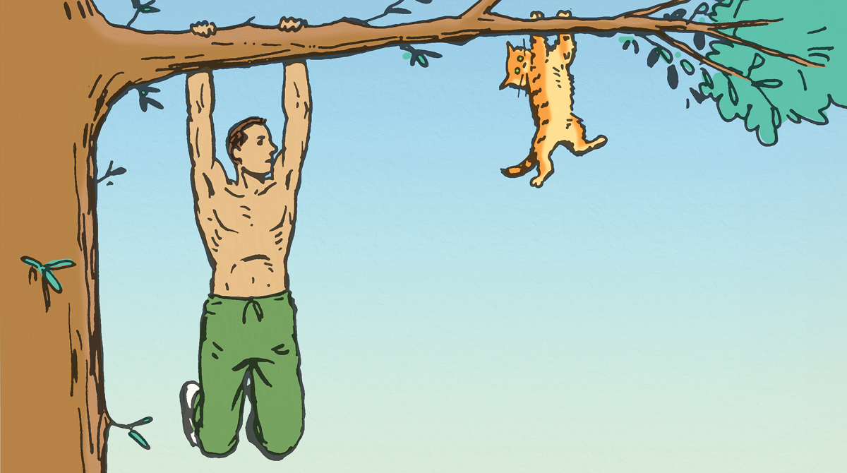 A cartoon of a man showcasing his strength while hanging from a tree with a cat.