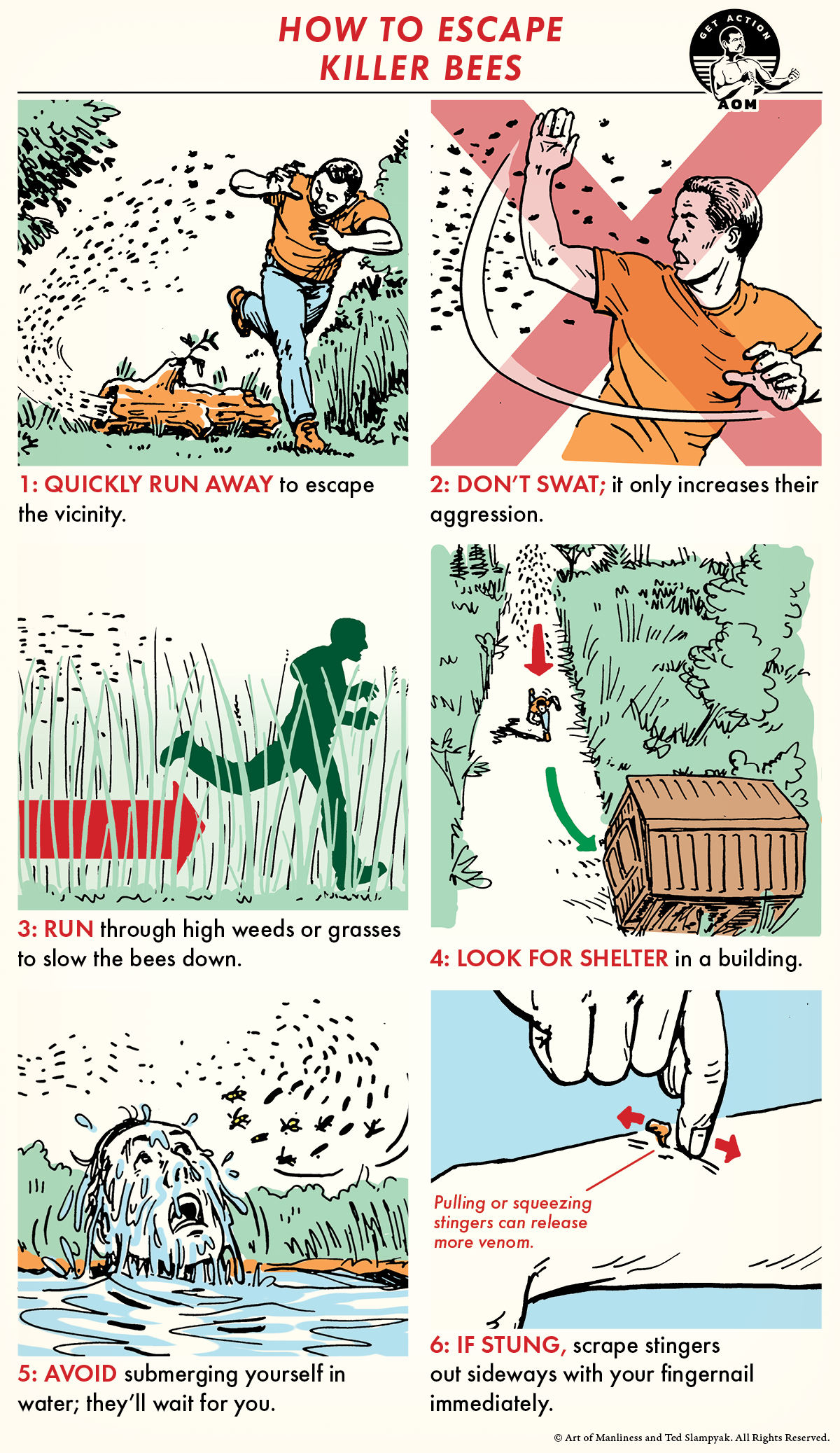 Comic show how to escape from killer bees.