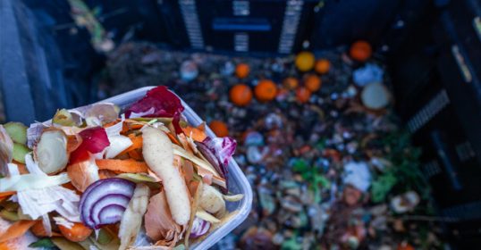 A person started composting by holding a container full of food waste.