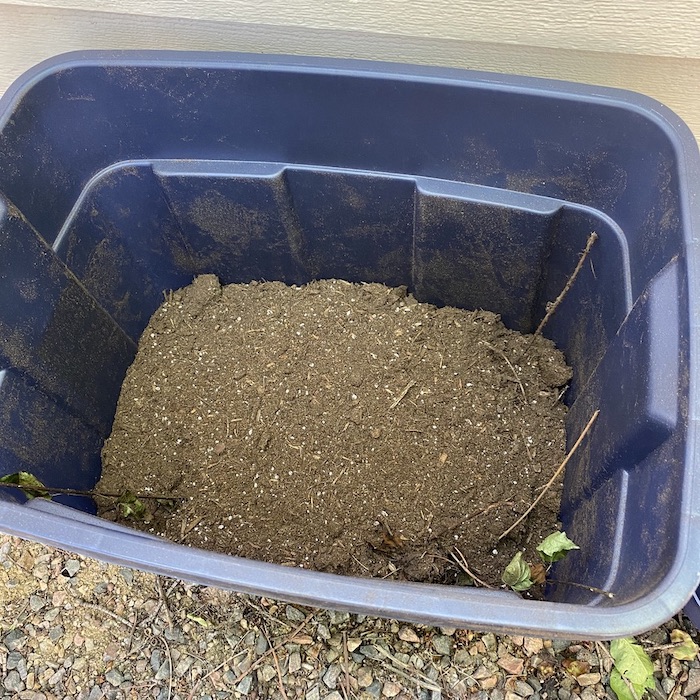 Nitrogen rich soil has been thrown in bin.