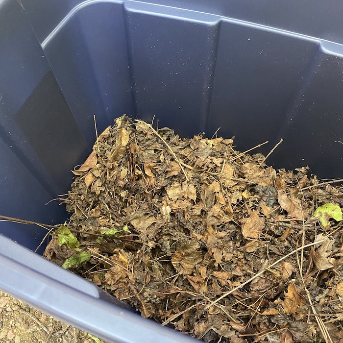 Waste materials such as leaves has been thrown in plastic bin.