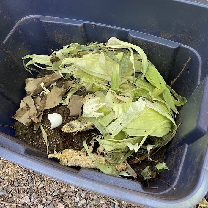 Kitchen scraps such as corn and eggs are thrown in plastic bin.