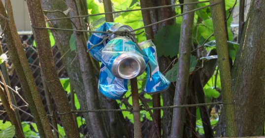 A low-tech perimeter alarm consisting of a bottle hanging from a tree in a garden.