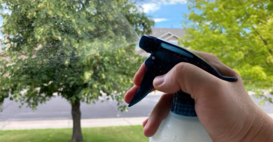 A hand holding a spray bottle making natural bug spray in front of a tree.