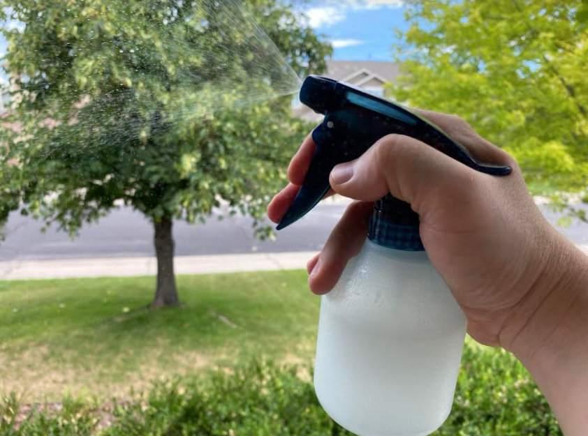 A hand holding a spray bottle making natural bug spray in front of a tree.