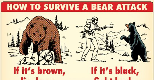 Learn lifesaving mnemonics for surviving a bear attack as a man.