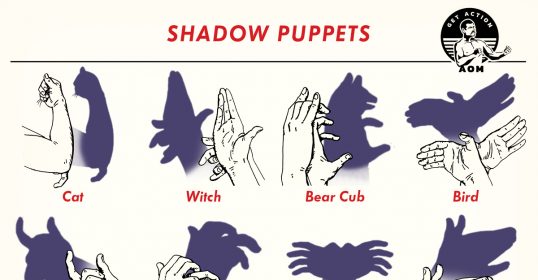 Create a poster showcasing 16 different types of shadow puppets.