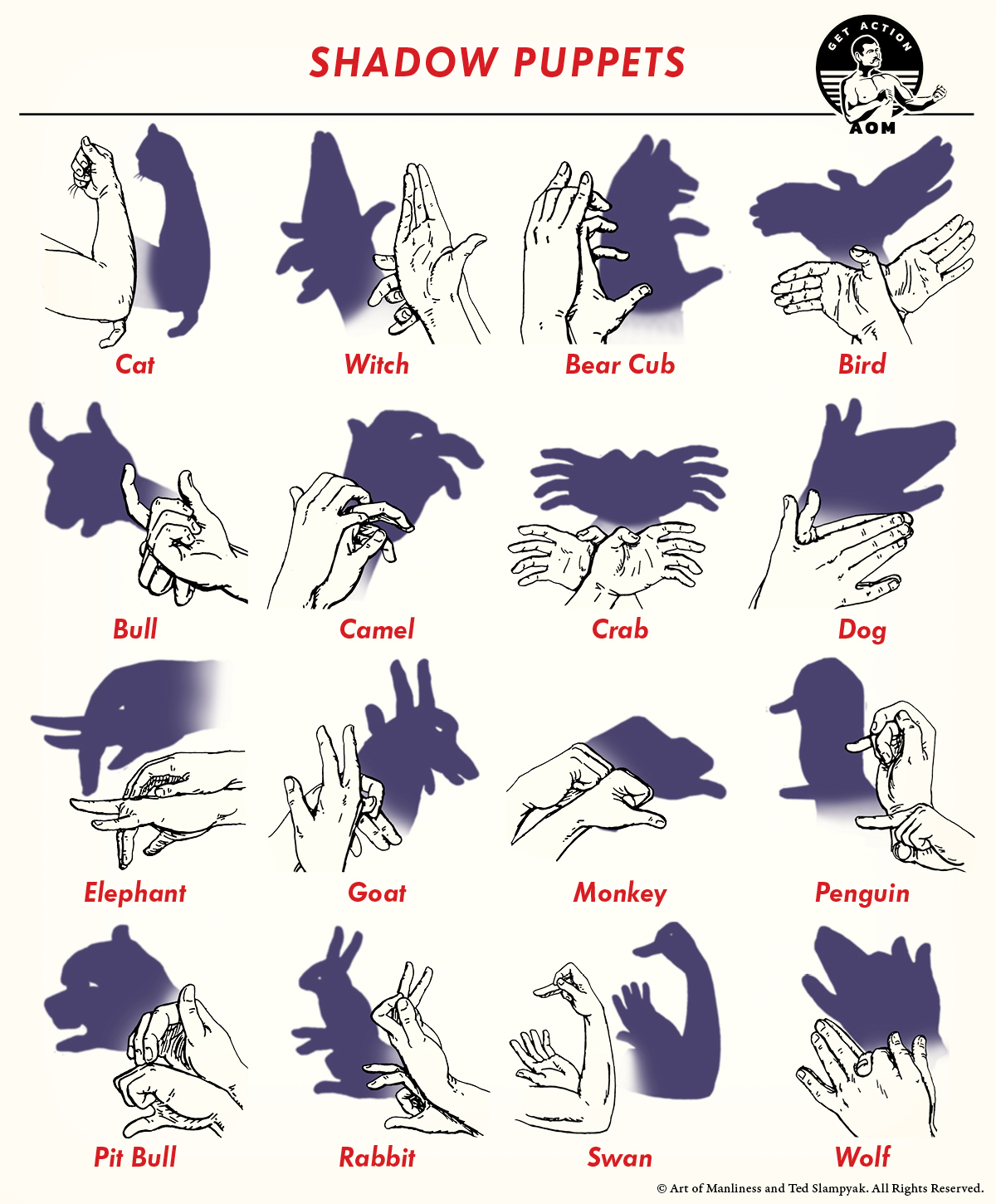 Create a poster showcasing 16 different types of shadow puppets.
