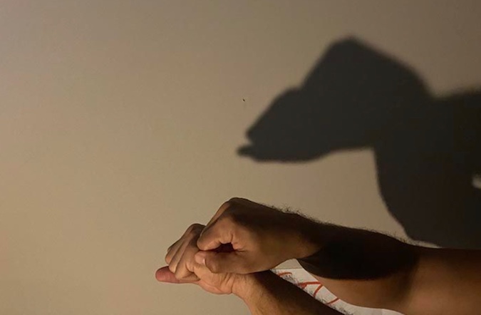 shadow puppets on a wall. 