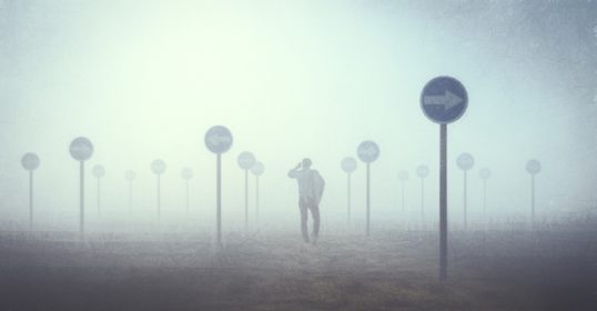 A man is standing in a field with a lot of street signs, prepared for an existential crisis.