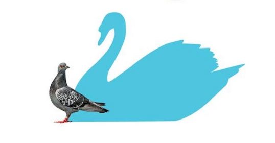 A pigeon is standing next to a blue swan in the park.