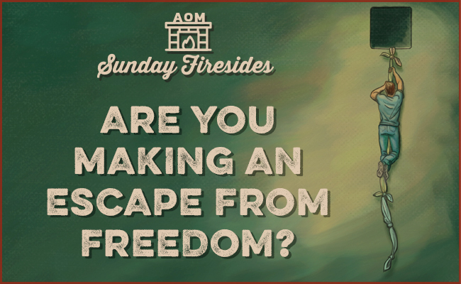 Escape from Freedom Header 1