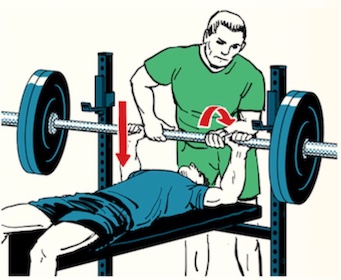 Bench press best sale spotter arms