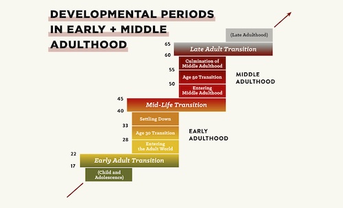 The introduction of developmental periods in early childhood and middle adulthood.