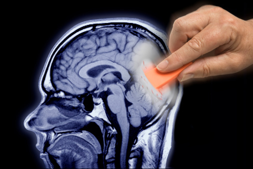 A hand is touching a brain with an orange stick.