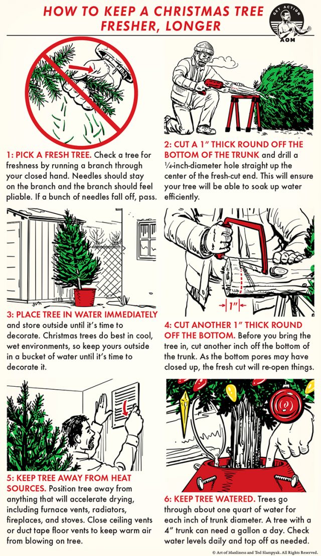 How to Keep Your Christmas Tree Fresh and Vibrant The Art of Manliness