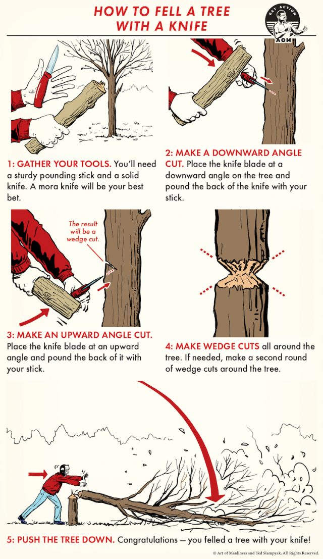 How to Fell a Tree With a Knife The Art of Manliness