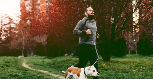 A man exercises with his dog in the park for weight management.