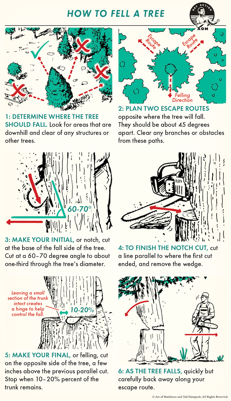 How To Chop Down A Tree How to Fell a Tree | The Art of Manliness