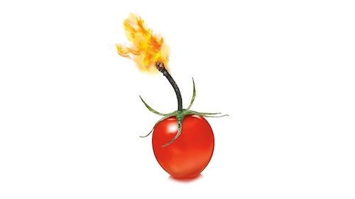 A tomato ablaze with flames, symbolizing the science of metabolism.