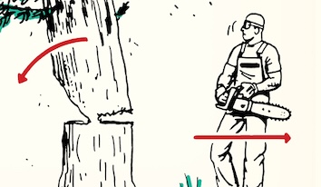 Illustration of a person with a chainsaw standing beside a tree that has been partially cut, with an arrow indicating the direction for felling trees.