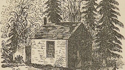 An illustration of a small house in the woods, inspired by Walden.