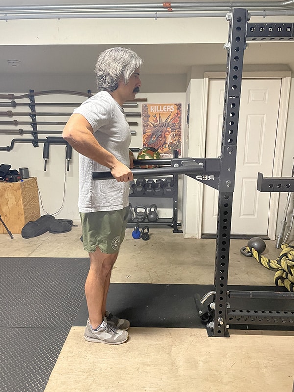 Dips squat online rack