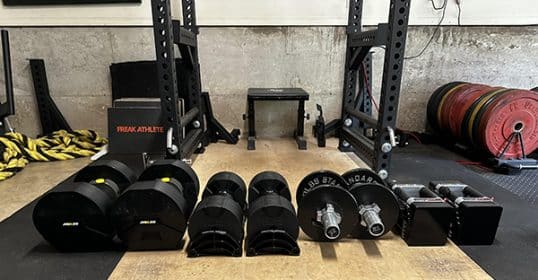 A set of neatly arranged gym equipment, including various dumbbells, weight plates, and adjustable dumbbell handles, on a gym mat for review.