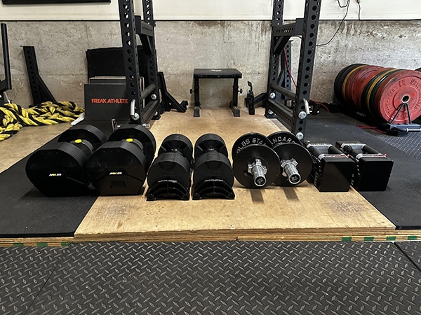A set of neatly arranged gym equipment, including various dumbbells, weight plates, and adjustable dumbbell handles, on a gym mat for review.