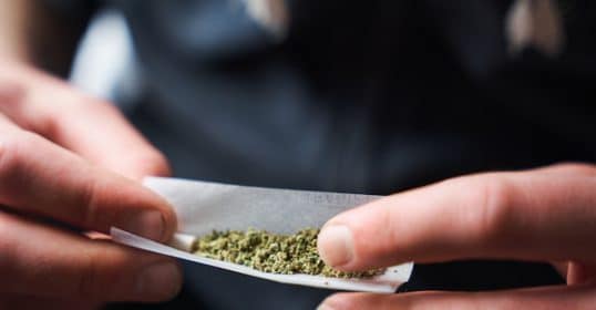 Person preparing a roll with cannabis.