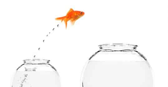 Goldfish leaping from a little bowl to a bigger one, embodying