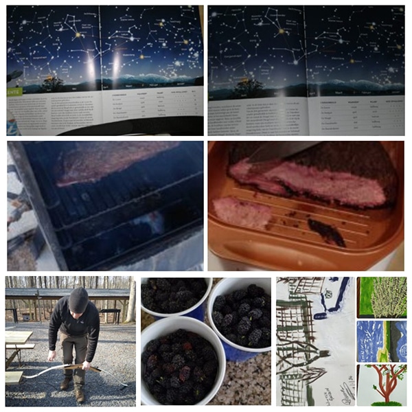 A collage of six images: a star chart, a piece of meat being grilled, a cooked steak sliced in half, a person aiming a bow and arrow, bowls of blackberries, and various hand-drawn pictures. Get an Inside Peek at The Strenuous Life captured through this eclectic visual setup.