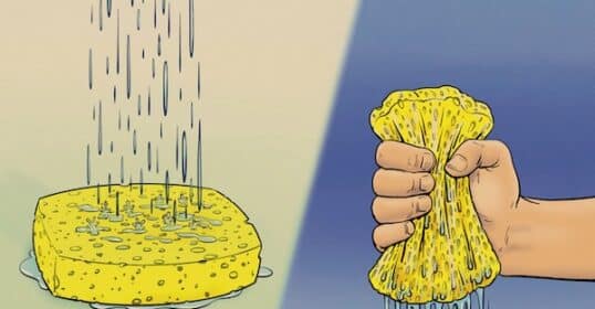 Illustration showing water pouring onto a yellow sponge on the left and a hand squeezing water out of a yellow sponge on the right, capturing the essence of Sponge Time.