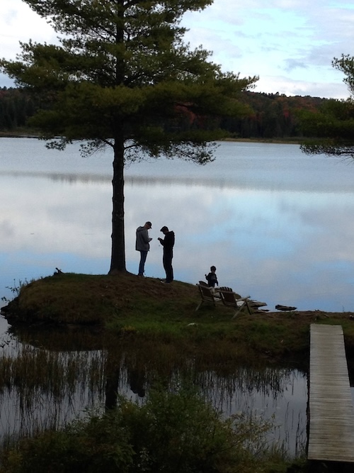 Three people stand on a grassy area beside a tree by a lake, with another person sitting on a bench near a dock, embodying the essence of effective in-law relationships.