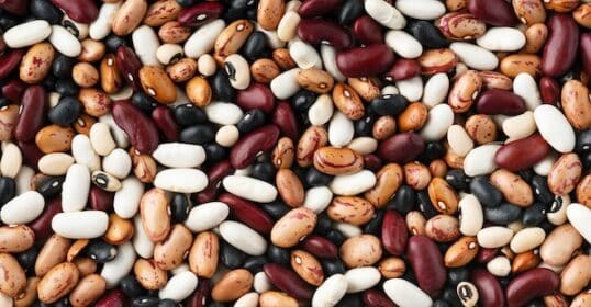 A vibrant array of colorful beans—red, white, black, and speckled—spreads across the image, inviting you to imagine a big pot of beans.