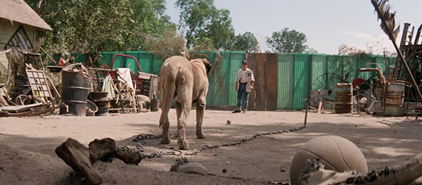 A large dog on a chain stands in a cluttered yard, facing a man near a gate with green fencing. A basketball and various objects lie scattered on the ground.