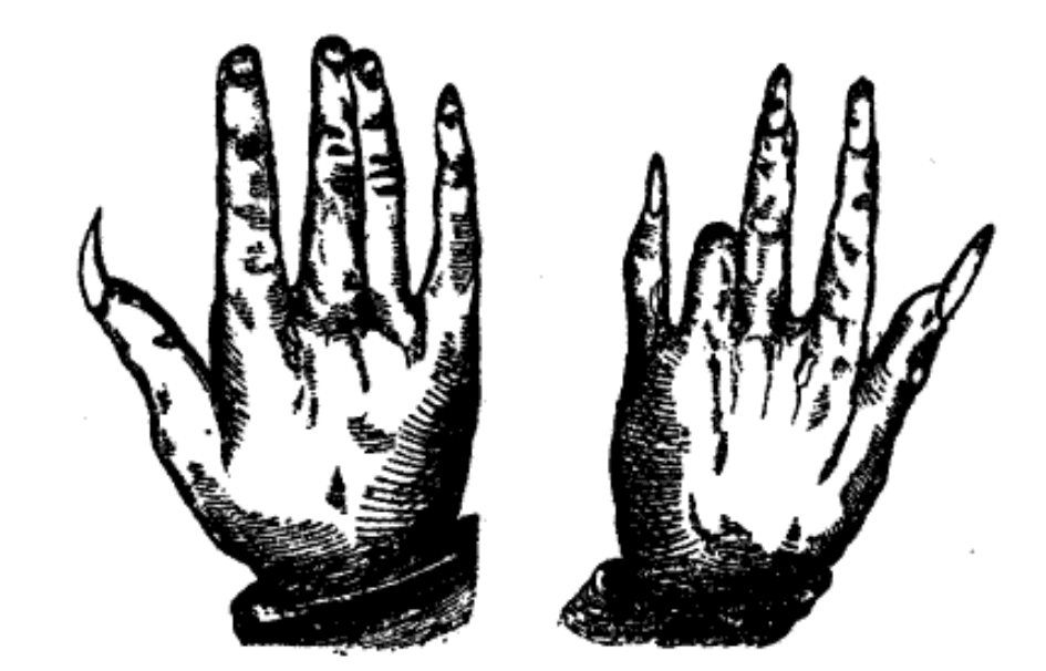 Image2