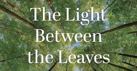 Podcast #1.113: Waarheden die uw therapeut u niet zal vertellen over hoe u uw geest op de juiste manier kunt krijgen